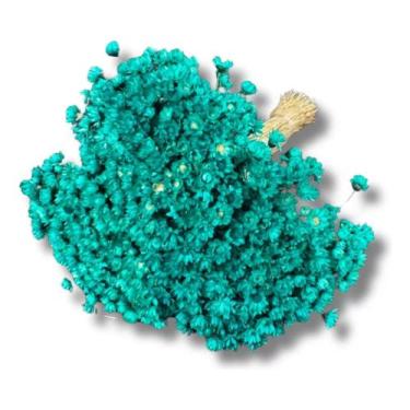 Imagem de Flores Azul Sempre Viva 1.500un Lembrancinha Desidratado - FLORA FULL