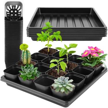 Imagem de warmfarm Bandejas grossas de mudas com 3 fotos com 50 imagens, vasos fáceis de remover, bandejas duráveis para iniciação de sementes, propagação e microgreens