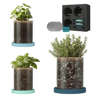 Imagem de Lornpexia Pacote com 3 vasos de vidro de 10 cm com bandejas de cerâmica, design de drenagem para ervas internas, suculentas, cactos e pequenas plantas domésticas