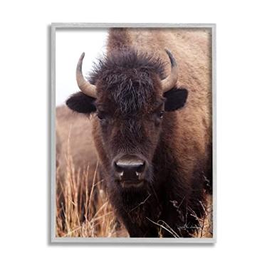 Imagem de Stupell Industries Arte de parede emoldurada cinza, retrato de bisão, gado, outono, fotografia, cinza, 60 x 76 cm, marrom