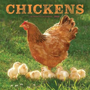 Imagem de Calendário de galinha 2026