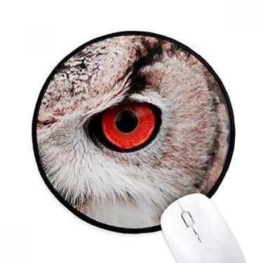 Imagem de DIYthinker Pcture Organismo Terrestre Animal Coruja Mouse Pad Desktop Escritório Tapete Redondo para Computador