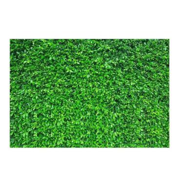 Imagem de Fundo Fotográfico Muro Inglês 2,2X1,5 Fff-507