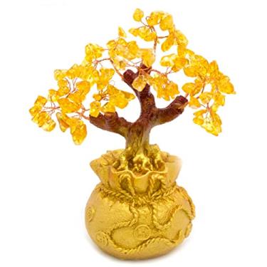 Imagem de Árvore Da Fortuna Feng Shui Sorte E Riqueza Media Afm1