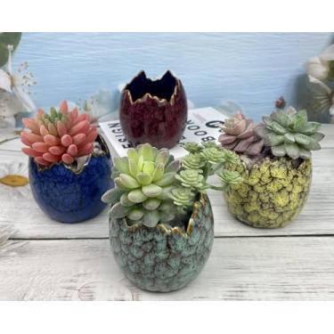 Imagem de Vaso De Flores De Ovo De Dragão Vaso De Flores De Interior, Vasos De Cerâmica Suculentas Com Pequenos Vasos De Suculentas Draige, Vasos De Plantador De Cactos
