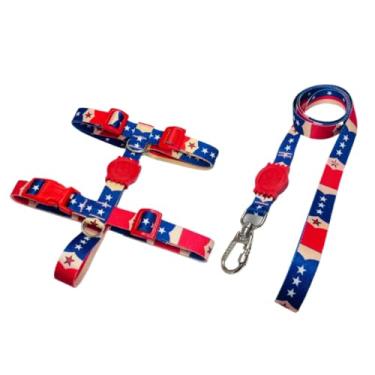 Imagem de Coleira Peitoral H Anti Puxão e Guia 1,10m para Cachorro Varias Estampas(Mulher Maravilha,G)