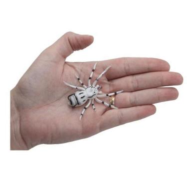 Imagem de Isca Artificial Pesca Soft Aranha Anzol Tucunare Traira B