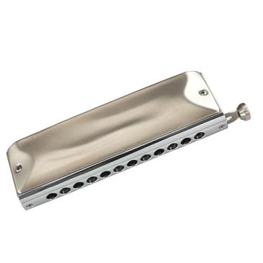 Imagem de Para Iniciantes harmônica Palheta Profissional Tocando Gaita Cromática De 12 Buracos, Capa Cinza Escovada