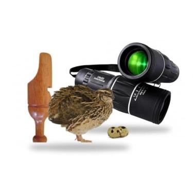 Imagem de Apito De Madeira Codorna Modelo 28 + Luneta Observação de Pássaros
