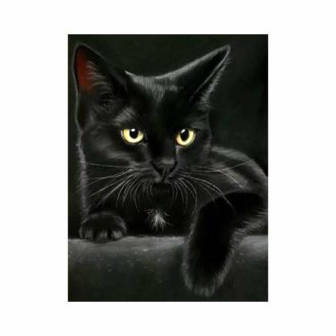 Imagem de Artesanato Pintura Diamante Diy 30X40 - BLACK SIRIUS - PPSHOP