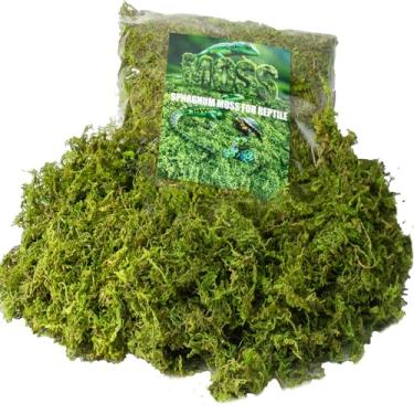 Imagem de IBRISFULHOM Musgo esfagno para terrário de répteis, musgo seco verde substrato para plantas em vasos, decoração artificial de musgo falso (156 g)