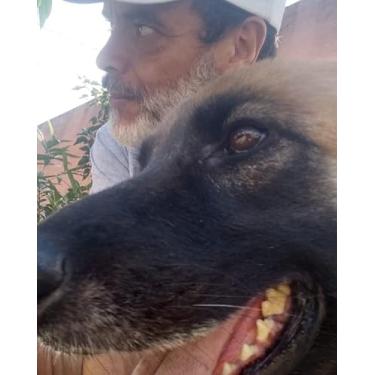 Imagem de Curso de Adestramento básico