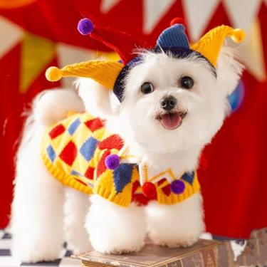 Imagem de Roupas de circo malucas de outono e inverno, conjunto de suéter cruzado para cães, roupas de animal de estimação de ursinho de pelúcia para cães pequenos e médios