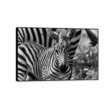 Imagem de SDYJ6GSW Imagens de animais em preto e branco para decoração de parede em preto e branco com estampa artística de filhote de zebra imagem de cavalo pintura de arte de parede zebra para sala de estar