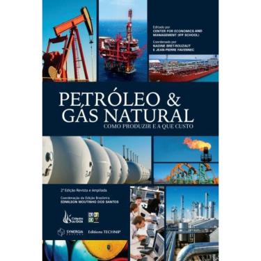 Imagem de Petróleo & gás natural: como produzir e a que custo