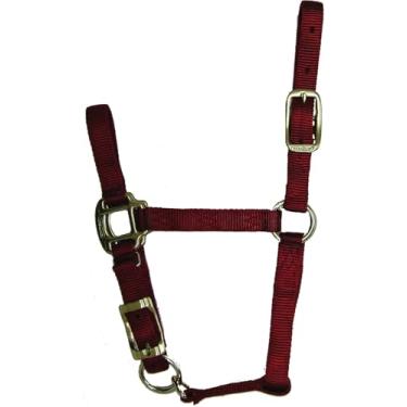 Imagem de Hamilton Halter de cavalo de qualidade ajustável de 1,9 cm, pônei grande ou desmamado, vermelho