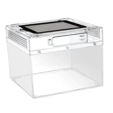 Imagem de Dualoai Terrário de répteis, caixa de criação, recipiente transparente, tanque de répteis para escorpiões, sapos com chifres, tartarugas, lagartos, centopéias, 20cmx20cmx15cm