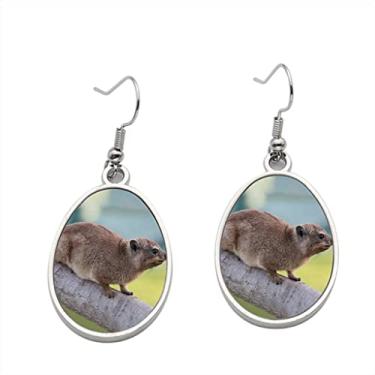 Imagem de Brinco de animal fofo de pedra Hyrax – Brincos pendurados para meninas – Presente de festa de aniversário dos namorados
