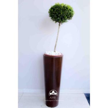 Imagem de Kit Jardinagem - Buxinho - AMK - Jardinagem e Paisagismo