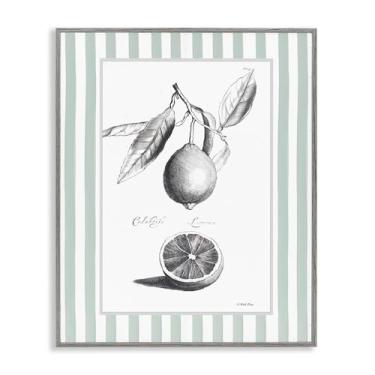 Imagem de Stupell Industries Design de arte giclée emoldurado cinza com borda listrada cítrica vintage por Lettered and Lined, 50 x 40 cm