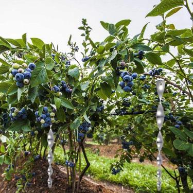 Imagem de Zhjvihx Haste Repelente de Pássaros, 12 Peças, Hastes Reflexivas de Susto para Pássaros, Ecológicas para Casa, Jardim, Varanda, árvores Frutíferas, Carros (Prata)