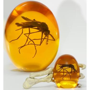Imagem de Mosquito 3D em âmbar e mão de dinossauro jurássico, presente de 16,5 cm x 7,6 cm para colecionadores e entusiastas, peso de papel com efeito envelhecido, decoração de mesa com design original