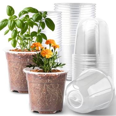 Imagem de RooTrimmer Vasos de berçário transparentes de 15 cm com cúpula de umidade, pacote com 30 potes reutilizáveis para iniciantes com orifícios de drenagem, vasos de mudas de plantas de plástico