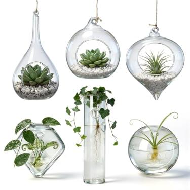 Imagem de Zopeal Pacote com 3 vasos de vidro para pendurar samambaias de ar para terrário e 3 peças para pendurar na parede, vaso de flores de vidro para decoração de Natal, presentes para amantes de plantas