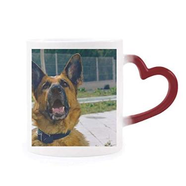 Imagem de Bela caneca sensível ao calor com foto de cachorro e animal de estimação copo de grés que muda de cor vermelha