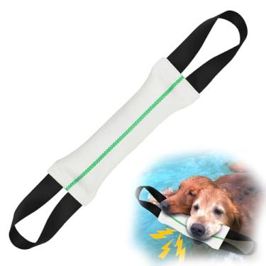 Imagem de ASOCEA Brinquedo de puxar para cães, travesseiro de nylon com 2 alças, brinquedo interativo para cães barulhentos, perfeito para cabo de guerra para cães de médio a grande porte buscar equipamento de