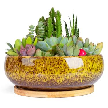 Imagem de ARTKETTY Vasos de suculentas – Vaso grande de bonsai de cerâmica com bandeja de drenagem para plantas de interior, jardim, decorativo, cacto, flor, recipiente, tigela