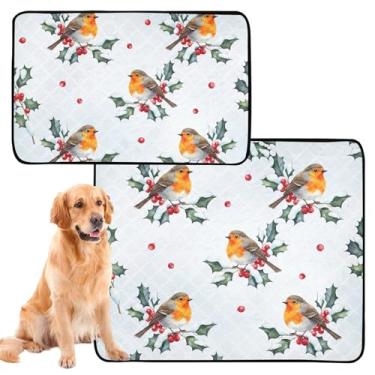 Imagem de Almofadas de urina de inverno com desenho animado de frutas vermelhas para cães, almofadas reutilizáveis à prova d'água para cães, almofadas absorventes fofas para penico, médio + grande, conjunto de