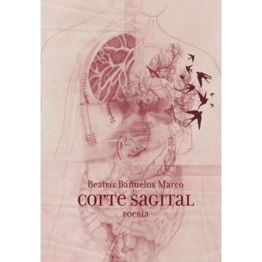 Imagem de Corte Sagital  - Espanhol