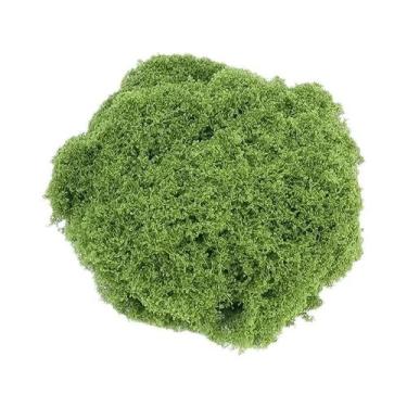 Imagem de Mini Plantas Verdes Artificiais 300-30g Musgo Eterno Grama Artificial 