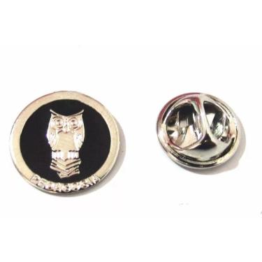 Imagem de Broche Pedagogia Professora Coruja Folheado Níquel