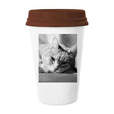 Imagem de Caneca de foto de gato cinza puro com foto de animal caneca de café copo de cerâmica