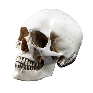 Imagem de VALICLUD Esqueleto Em Tamanho Real Caveiras De Halloween Esqueleto Humano De Resina Decoração De Caveira Para Casa Decorações De Caveira De Halloween Crânio Humano Enfeites Branco Animal