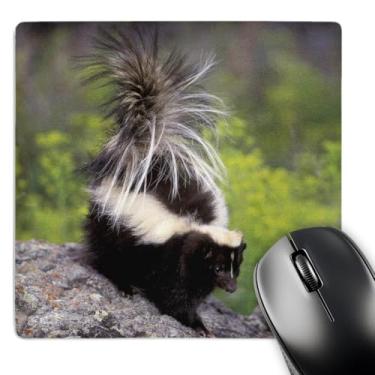 Imagem de 3dRose Mouse pad LLC 20 x 20 x 0,65 cm, América do Norte EUA Montana Wildlife Tom Vezo (mp_92146_1)