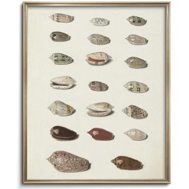 Imagem de Arte de parede retrô com conchas bonitas de verão, ilustração vintage Larousse, decoração de parede de vida marinha, presente de inauguração, estrela do mar, pôster de concha, decoração moderna de