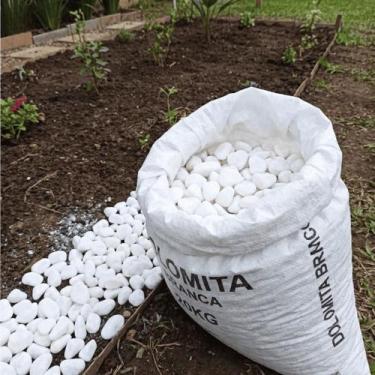 Imagem de Pedra Para Jardim Seixo Dolomita Branca Nº2 Vaso Planta 30kg - Verde G