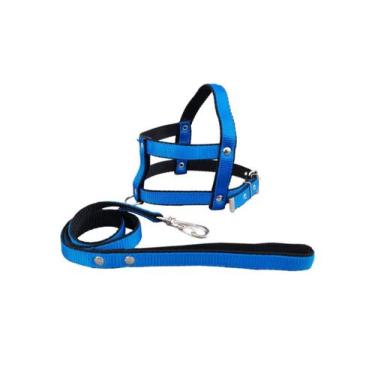 Imagem de Guia E Peitoral Nylon Duplo P/cães Cachorro - Nº 9 - FLOP, Azul