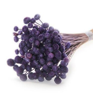 Imagem de 400 Botão Azul Turqueza Desidratado Sempre Viva Flores Secas - Pense F