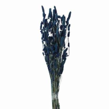 Imagem de Celósia Rabo de Coelho Azul Desidratado - Pense Flores