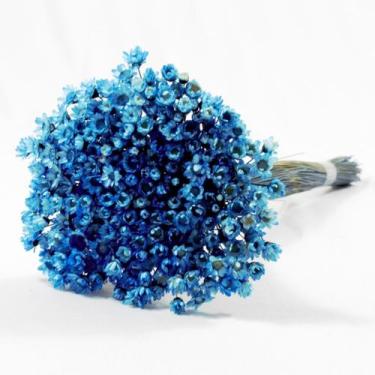 Imagem de Sempre Vivas Azul Lembrança, Decoração 1200 Flores - Pense Flores
