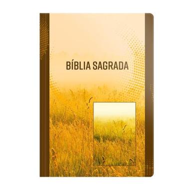 Imagem de Livro - Bíblia NVI - Letra Grande - Brochura - Neutra