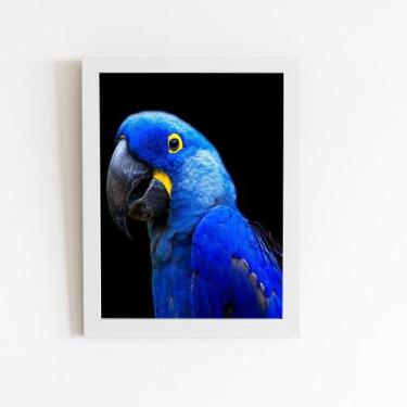 Imagem de Quadro Arara ul-Grande Aves Animais Moldura Branca 60X40Cm - Plimshop