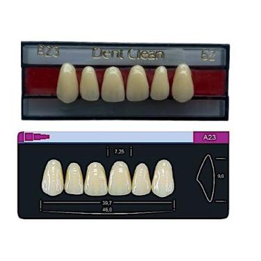 Imagem de Dente Dent Clean Anterior A23 Superior - Imodonto