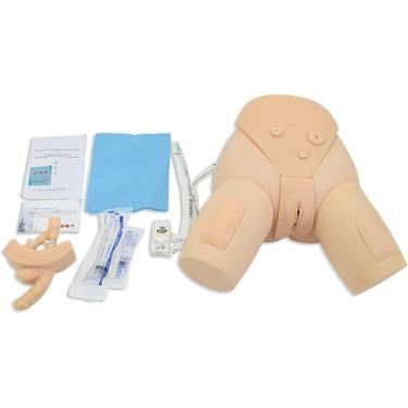 Imagem de Modelo De Simulador De Cateterismo Kit De Simulador De Cateterismo Uretral Masculino E Feminino Prática Médica Treinamento Modelo De Ensino Prática Médicos Enfermeira Cateterismo Prática In