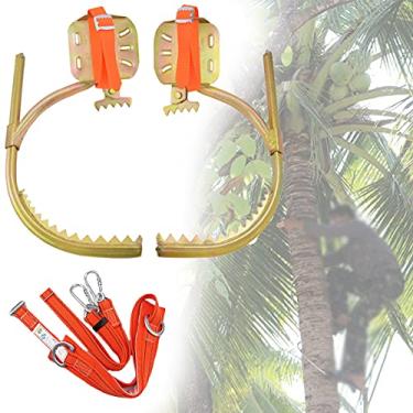 Imagem de Artefato para subir árvores, conjunto de equipamento antiderrapante para trepar árvores, fivela de pé de poste de madeira para eletricista ajustável, para escalar, caçar, observar, colher frutas