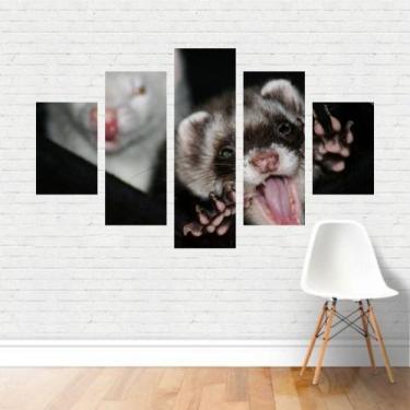 Imagem de Quadro em tela Canvas  Furões Domésticos Sorrindo  110x65 - Plinplin